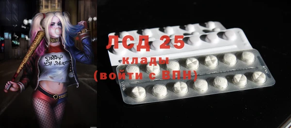мдпв Протвино
