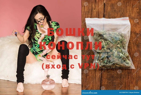 каннабис Аркадак