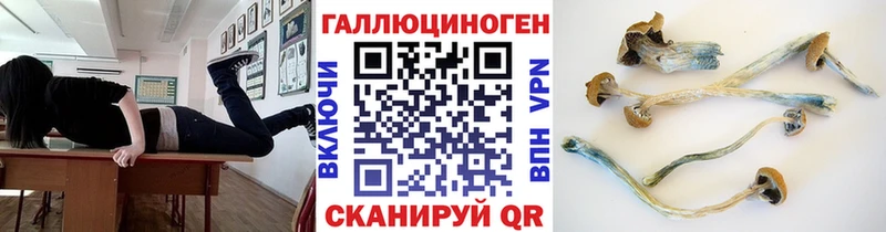 гидра как зайти  сколько стоит  Арск  Псилоцибиновые грибы прущие грибы 